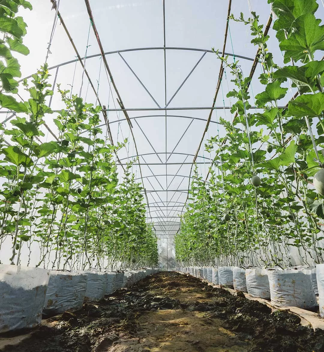 [:es]ALAMBRE-GALVANIZADO5[:]