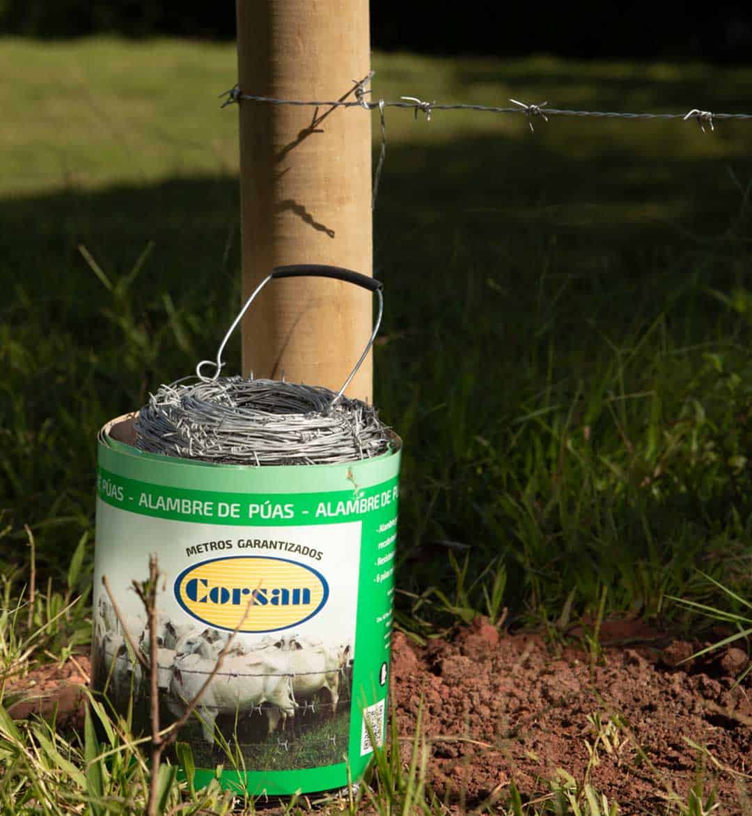 [:es]ALAMBRE-DE-PUAS5[:]