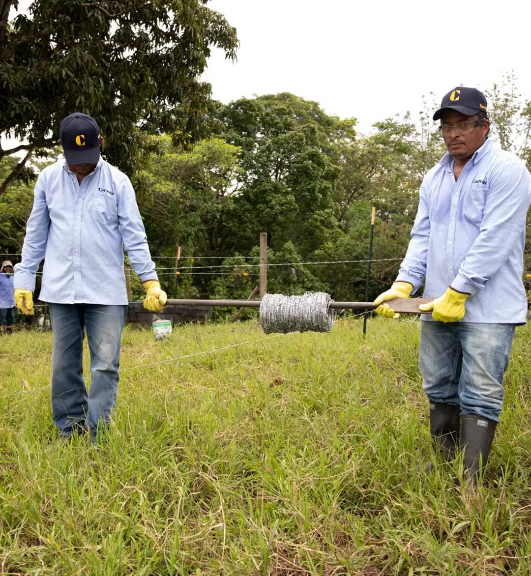 [:es]ALAMBRE-DE-PUAS7[:]