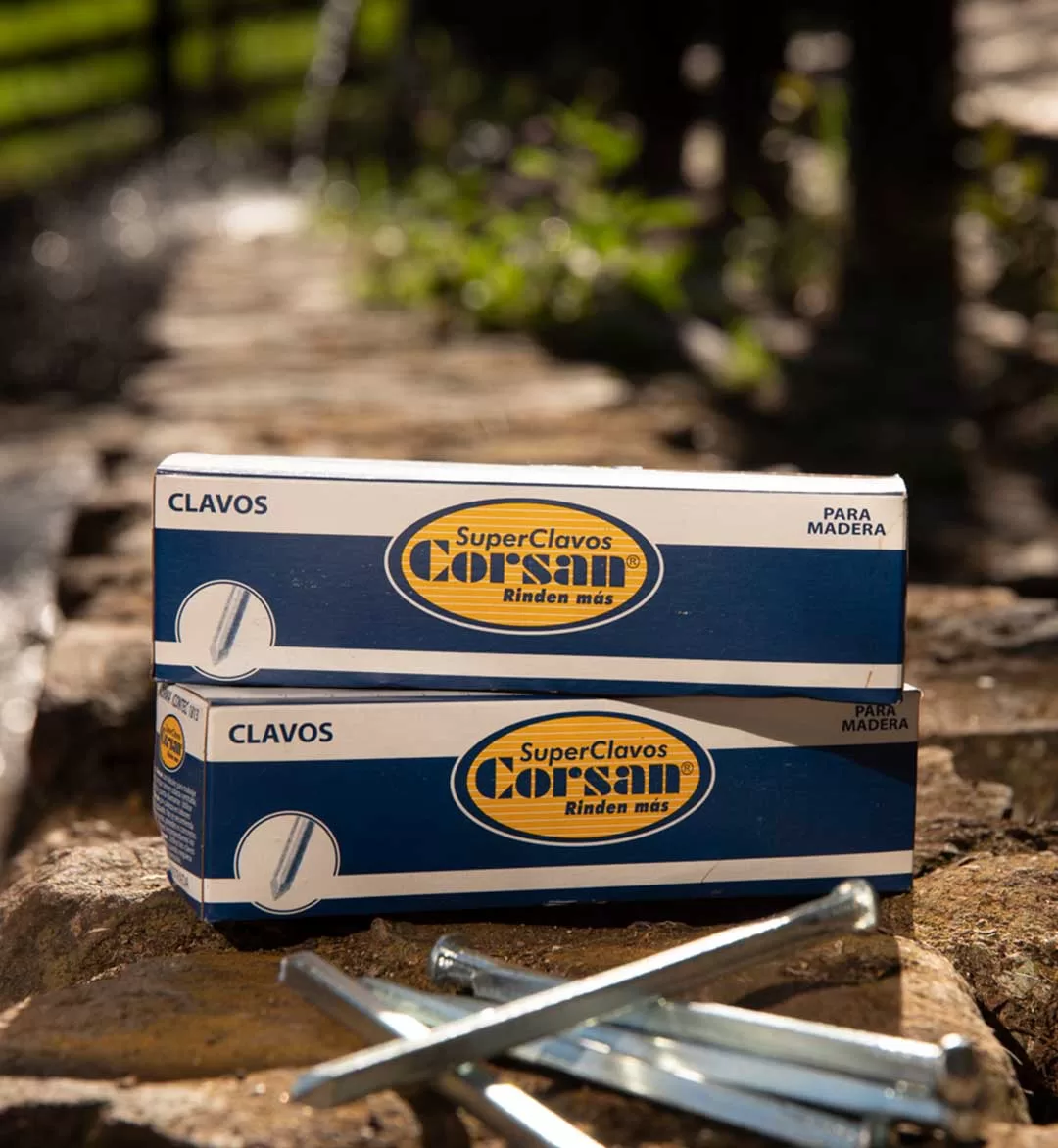 [:es]CLAVO-VARETA2[:]