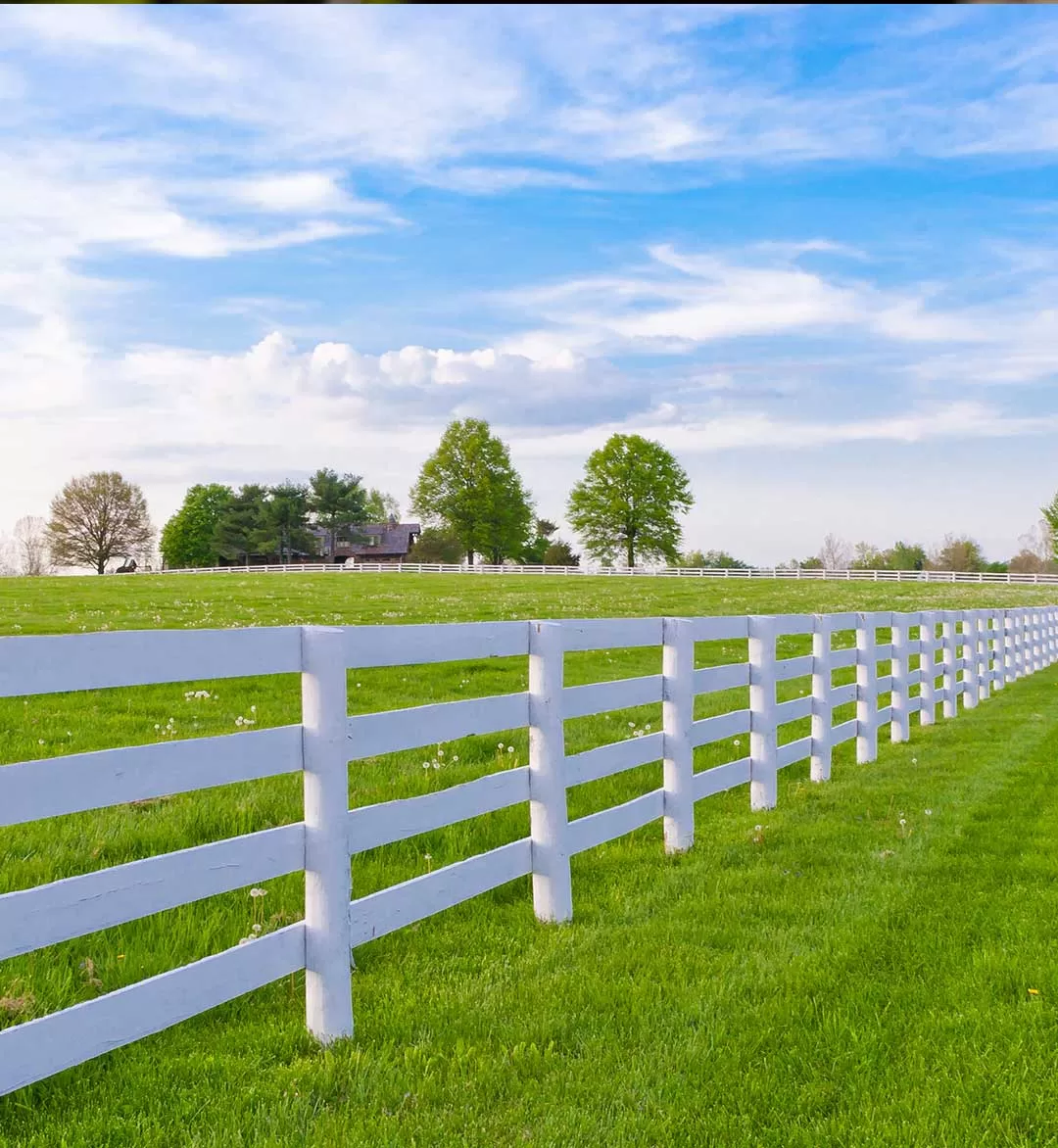 [:es]CLAVO-VARETA3[:]