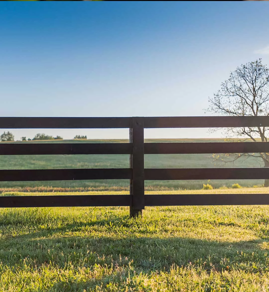 [:es]CLAVO-VARETA4[:]