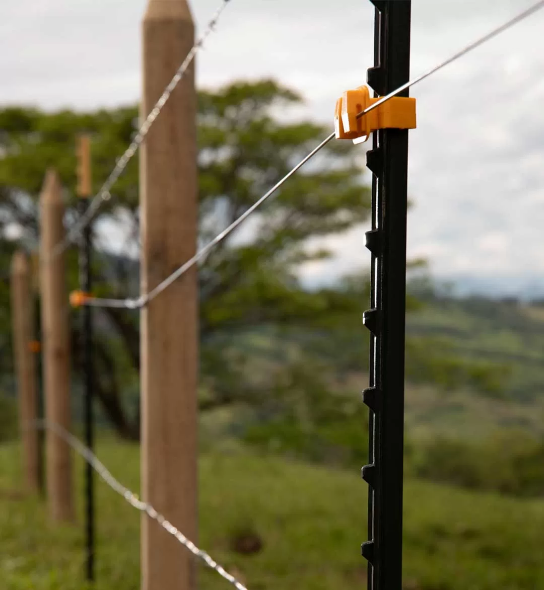 [:es]POSTE-DE-ACERO6[:]