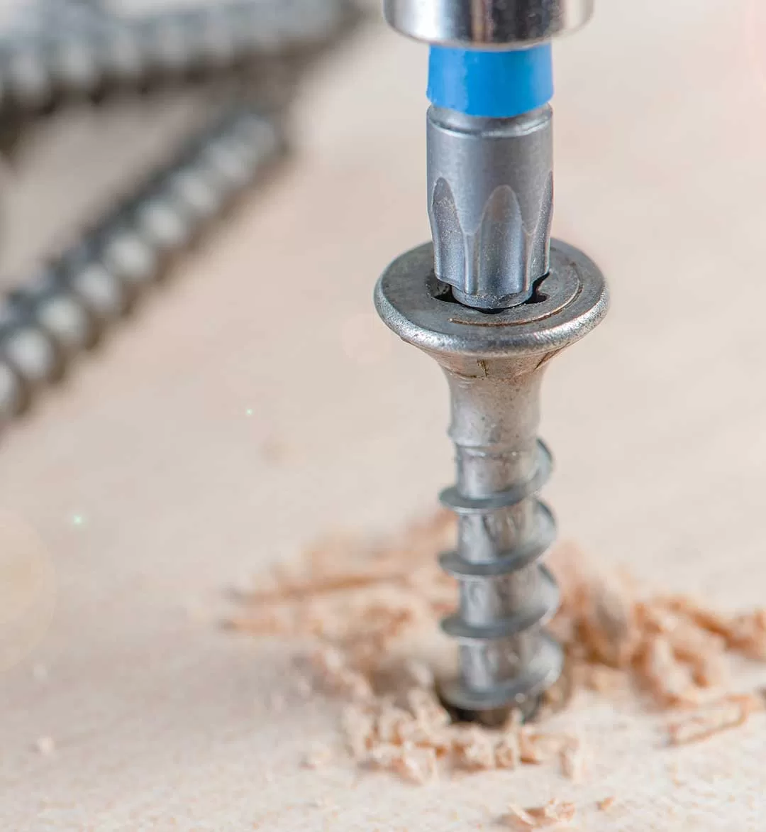 [:es]TORNILLO-LAMINA6[:]