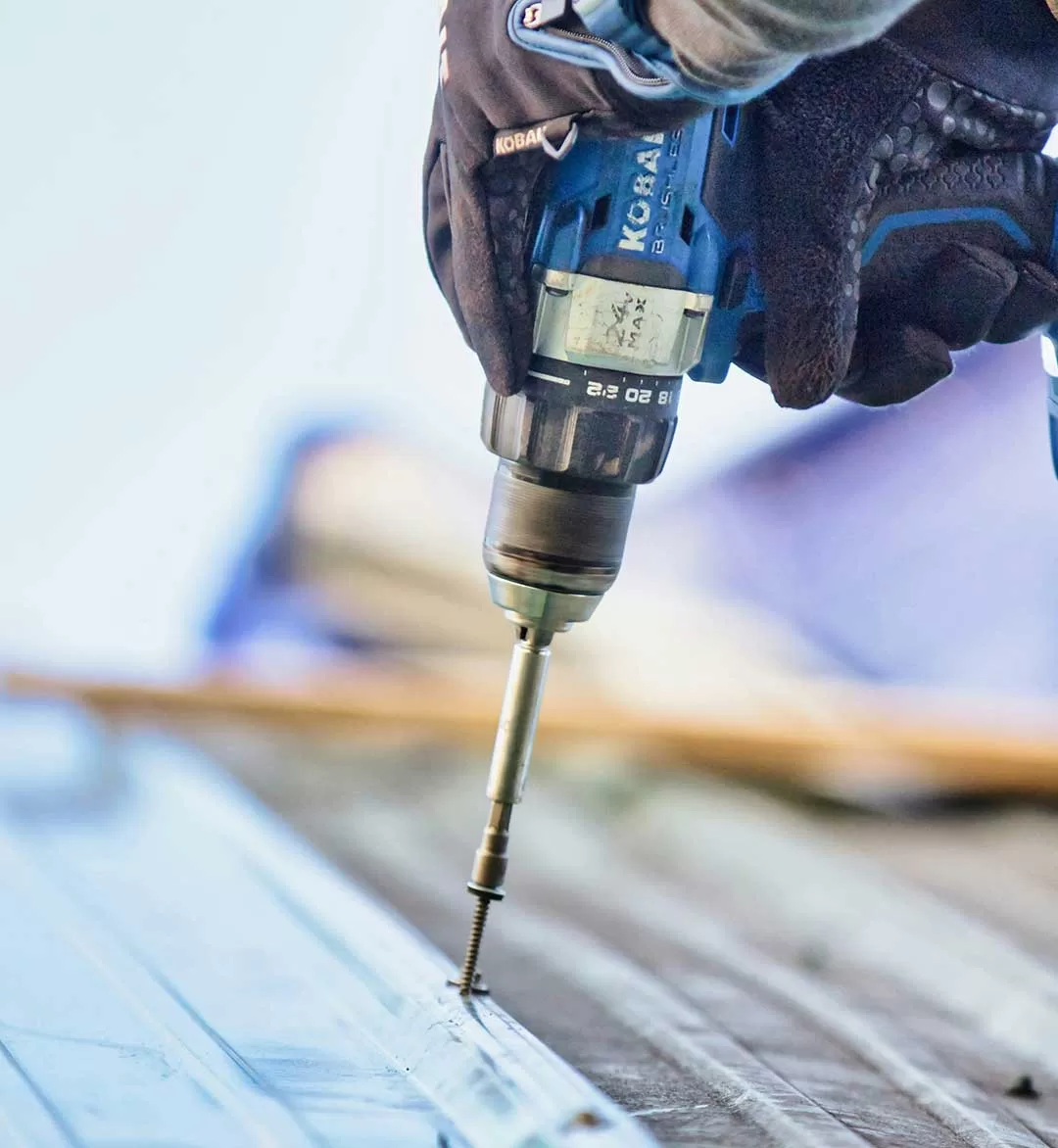 [:es]TORNILLO-LAMINA7[:]